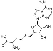 S-Adenosylhomocysteine