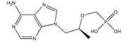 (S)-PMPA