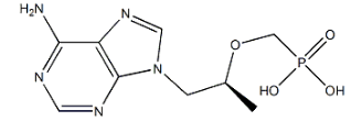 (S)-PMPA