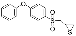 SB-3CT