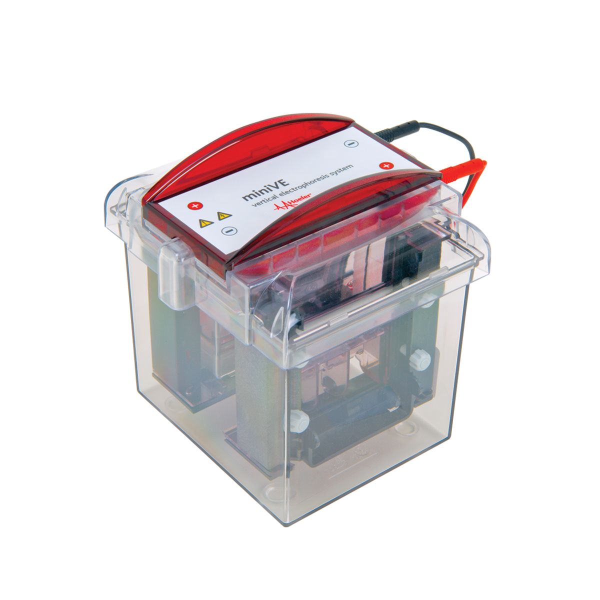 SE300 MINIVE V PROTEIN BASIC