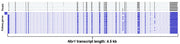 SMART-Seq mRNA Long Read - Next-generation sequencing - Takara Bio