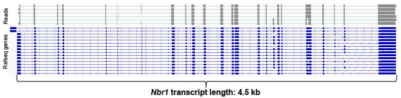 SMART-Seq mRNA Long Read - Next-generation sequencing - Takara Bio