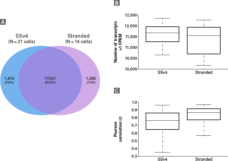 Full transcriptome analysis of single cells with the SMART-Seq Stranded Kit - Next-generation sequencing - Takara Bio