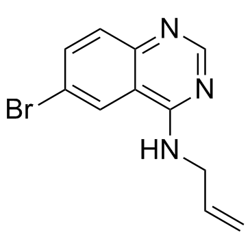 SMER 28