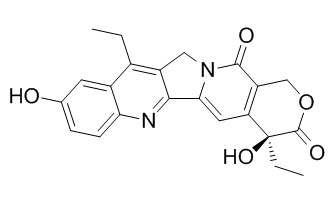 SN-38