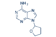 SQ22536
