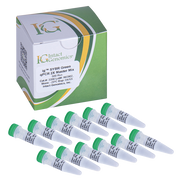 ig SYBR Green qPCR 2X Master Mix