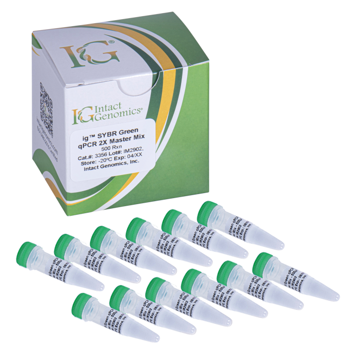 ig SYBR Green qPCR 2X Master Mix