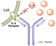 Sarilumab