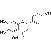 Scutellarein