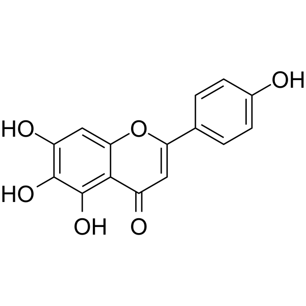 Scutellarein