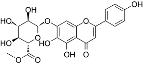 Scutellarin-methylester