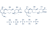Sisomicin sulfate