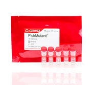 PickMutant™ Site-directed Mutagenesis Kit