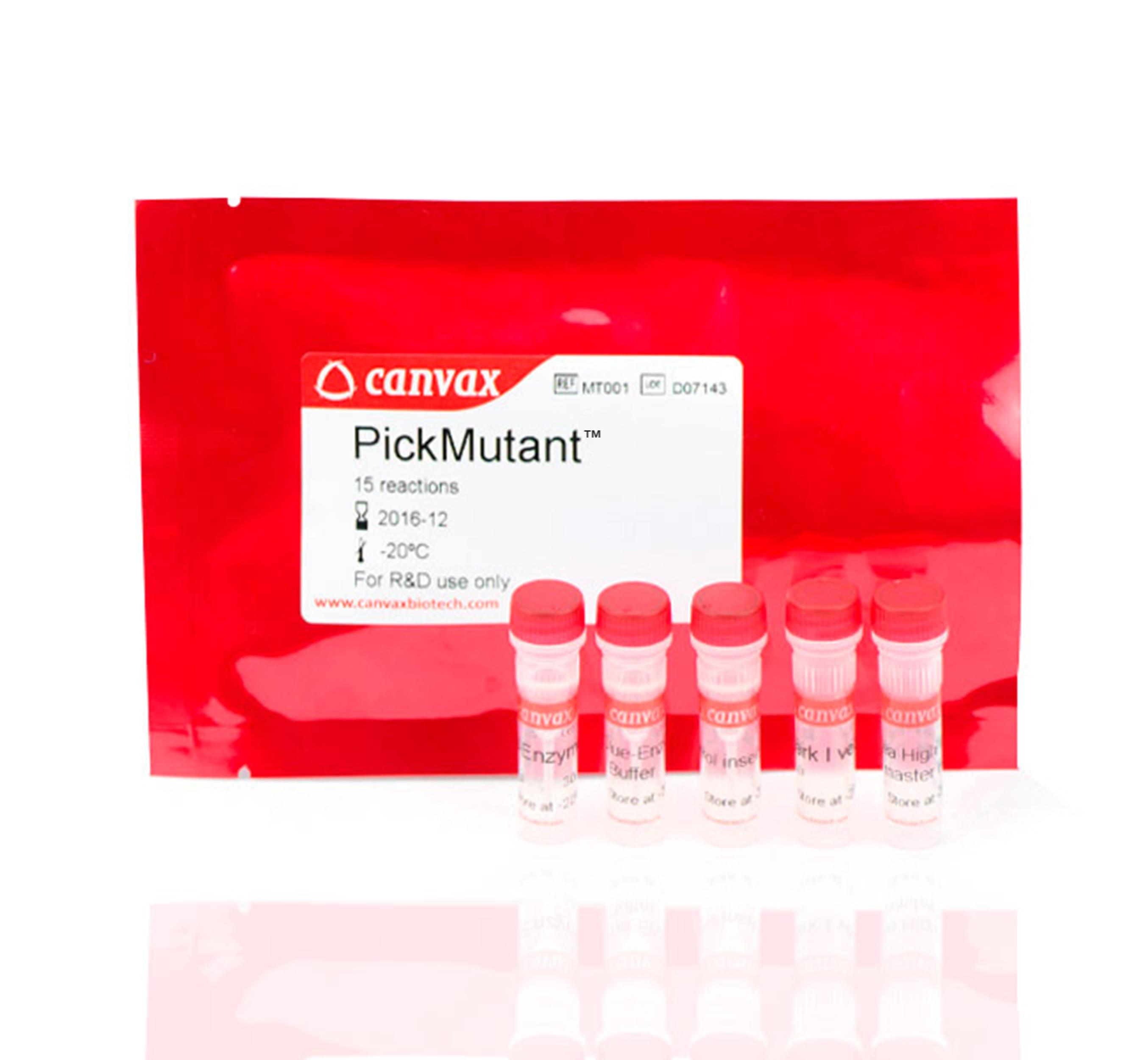 PickMutant™ Site-directed Mutagenesis Kit