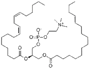 Soybean Lecithin