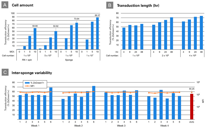 Lenti-X Transduction Sponge - Gene function - Takara Bio