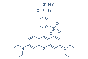 Sulforhodamine B sodium salt