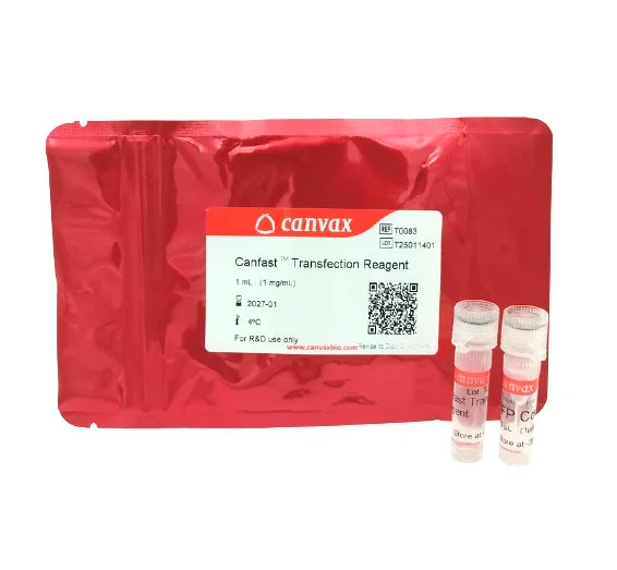 CANFAST™ Transfection Reagent