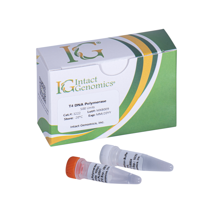 T4 DNA Polymerase