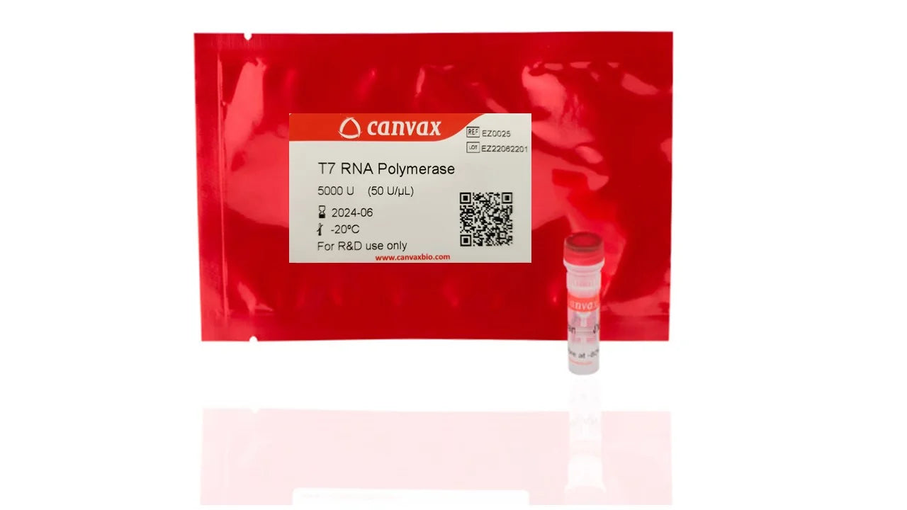 T7 Polymerase (50,000 U/ml)