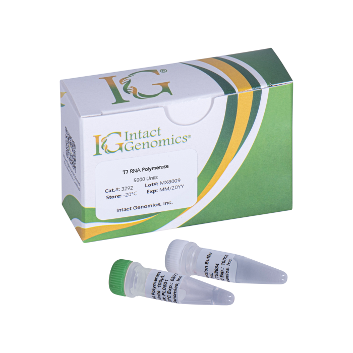 T7 RNA Polymerase