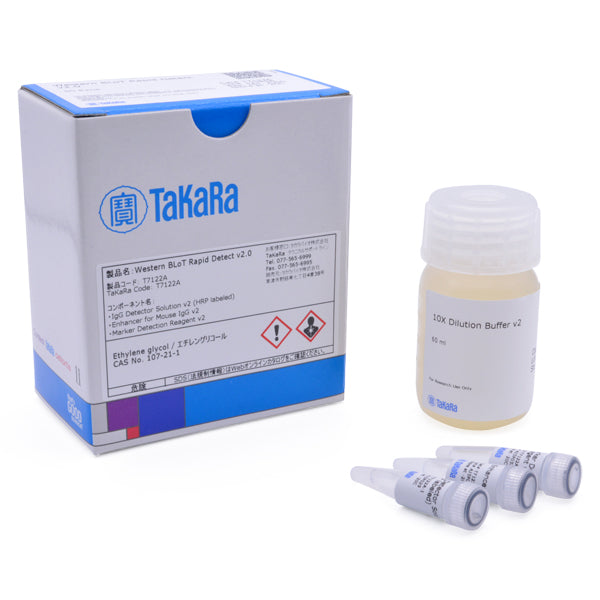 IgG detection without a secondary antibody: Western BLoT Rapid Detect v2.0 - Protein research - Takara Bio