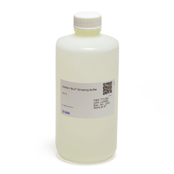 Western Blot Stripping Buffer - Protein research - Takara Bio