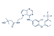 TAK-285 chemical structure