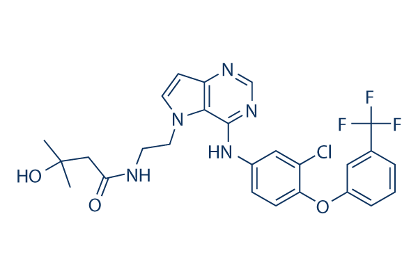 TAK-285 chemical structure