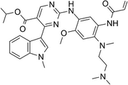 Mobocertinib