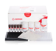 TBARS Assay Kit