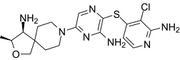 TNO155