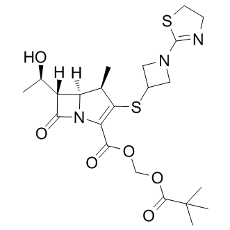 Tebipenem Pivoxil