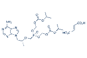 Tenofovir Disoproxil Fumarate chemical structure
