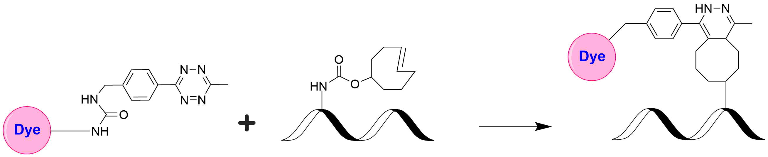AATOM™ 390 Tetrazine - AAT Bioquest