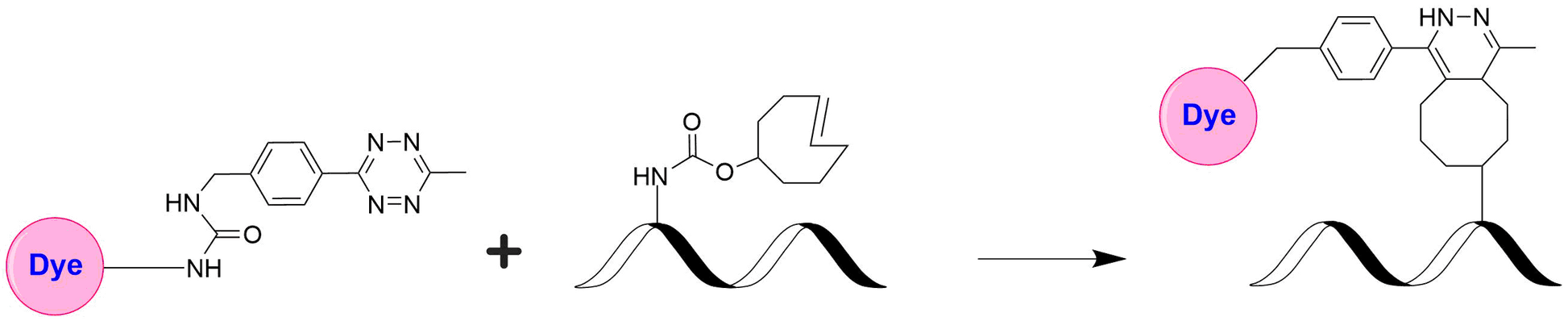 XFD532 Tetrazine - AAT Bioquest