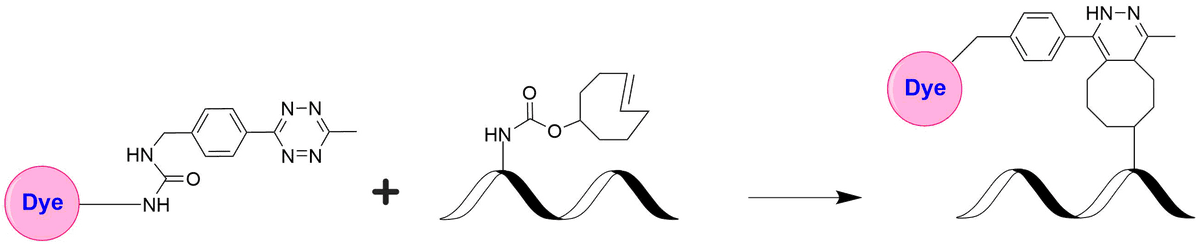 XFD568 Tetrazine - AAT Bioquest