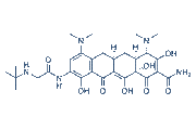 Tigecycline chemical structure