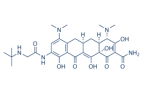 Tigecycline chemical structure