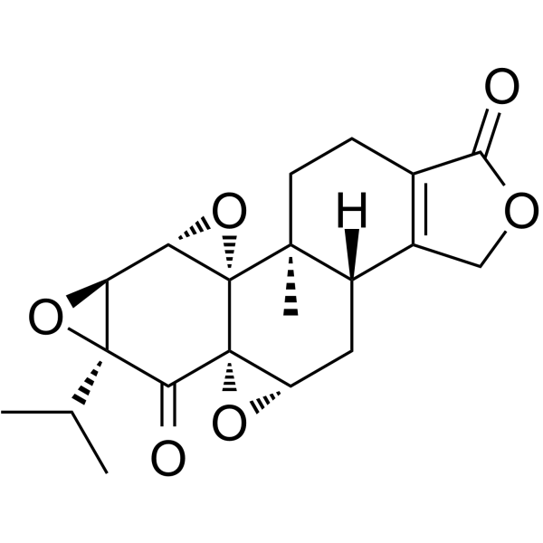 Triptonide