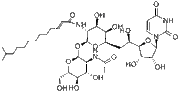 Tunicamycin