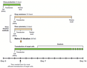 Lentivirus titration by qRT-PCR - Gene function - Takara Bio