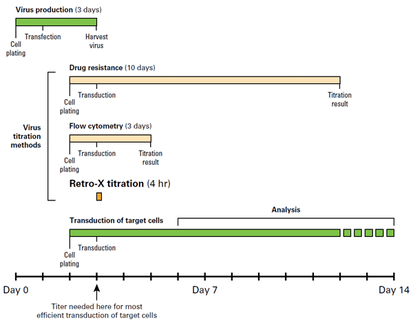 Lentivirus titration by qRT-PCR - Gene function - Takara Bio