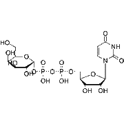 UDP-Galactose