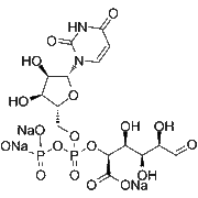 UDP-glucuronic acid trisodium
