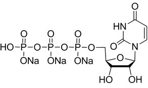 Uridine triphosphate trisodium