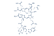 Vitamin B12