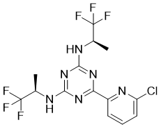 Vorasidenib